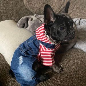 Meet your Posher, Dan